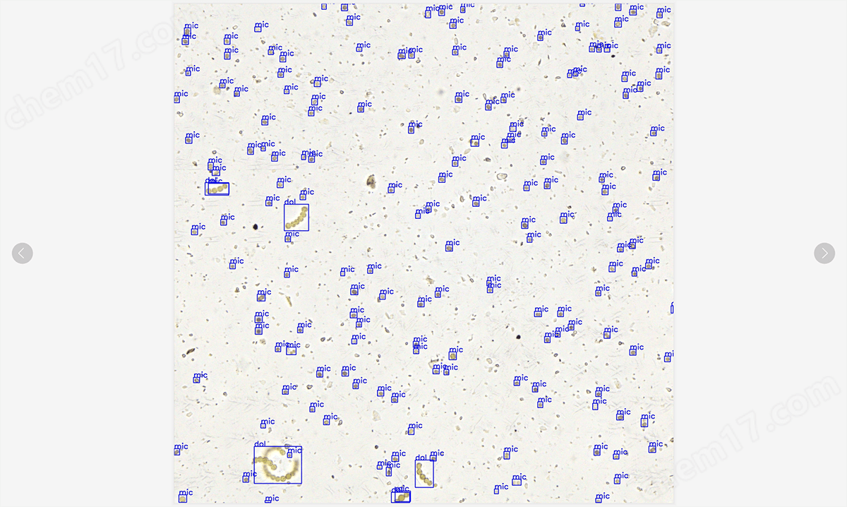 1599114662175489.png 五通道藻類人工智能分析儀